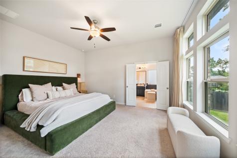 531 Carina Gaze Drive Willis TX 77318