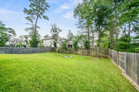 531 Carina Gaze Drive Willis TX 77318