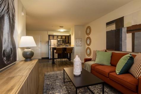 18828 State Highway 249 321 Houston TX 77070