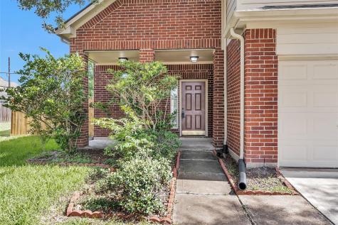 3903 Teal Vista Court Fresno TX 77545