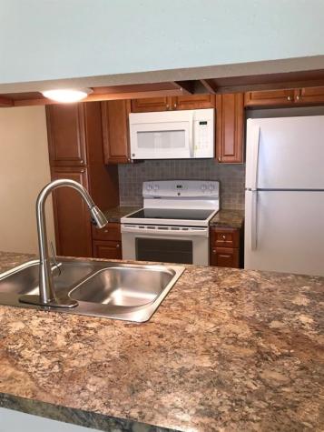 1947 Green Briar Colony Drive 1947-d Houston TX 77032