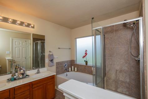 4307 S Vineyard Meadow Lane Katy TX 77449