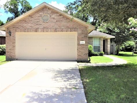 214 Saddleback Springs Drive Richmond TX 77469