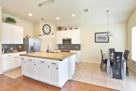 28103 Canyon Wren Drive Katy TX 77494