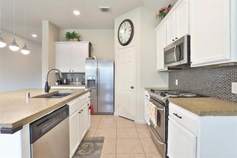 28103 Canyon Wren Drive Katy TX 77494
