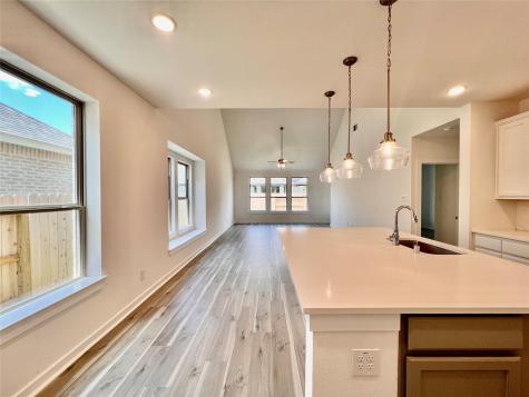 917 Pismo Creek Lane Katy TX 77493