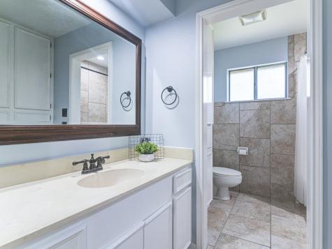 312 Narcissus Street Lake Jackson TX 77566