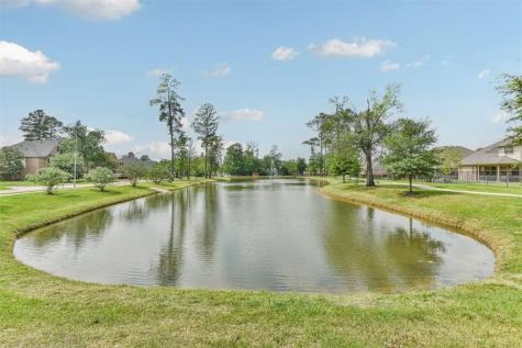 25550 Forest Springs Lake Spring TX 77373
