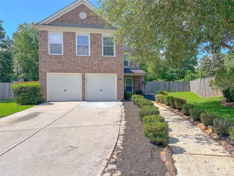 28203 Kings Cove Lane Spring TX 77386