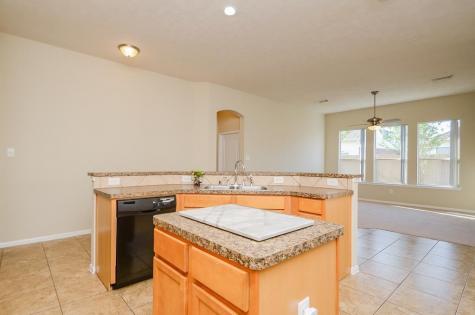 20611 Sage Rain Court Katy TX 77449