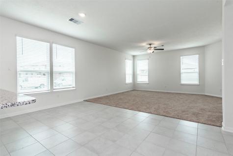 2838 Palamas Lane Fresno TX 77545