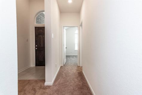 2838 Palamas Lane Fresno TX 77545