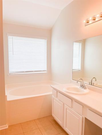 17311 Brookhollow Trace Court Houston TX 77084