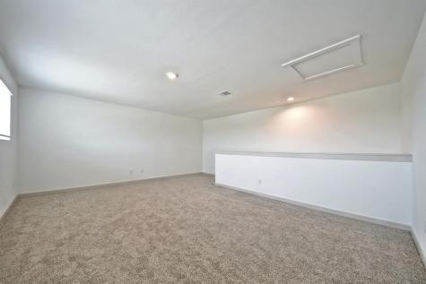 250 Dusty Bridle Lane Rosharon TX 77583