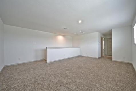 250 Dusty Bridle Lane Rosharon TX 77583