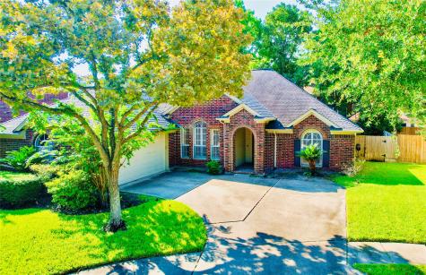 14215 Scarborough Fair Street Houston TX 77077