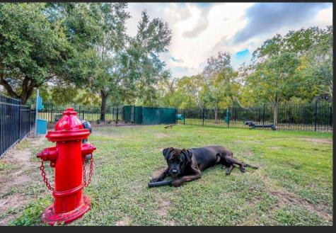 529 Barker Clodine Road Juniper Houston TX 77094