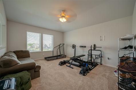 3718 Venosa Court Missouri City TX 77459