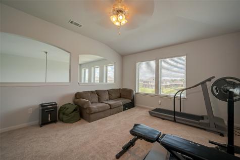 3718 Venosa Court Missouri City TX 77459