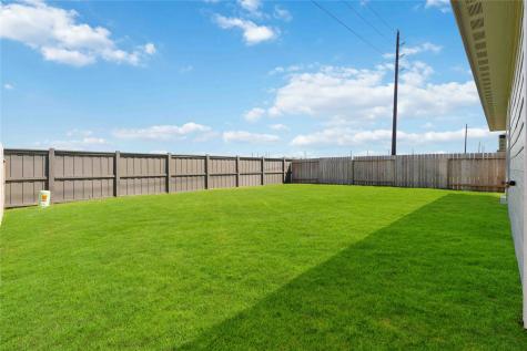 7507 Fierce Friesian Lane Rosharon TX 77583
