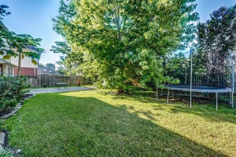 22726 Shannon Falls Court Katy TX 77494