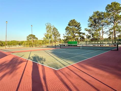 7041 Kingston Cove Lane 241 Willis TX 77318