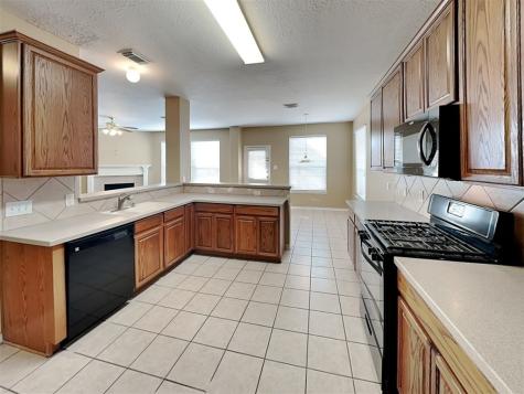 16826 Ivy Wild Lane Houston TX 77095