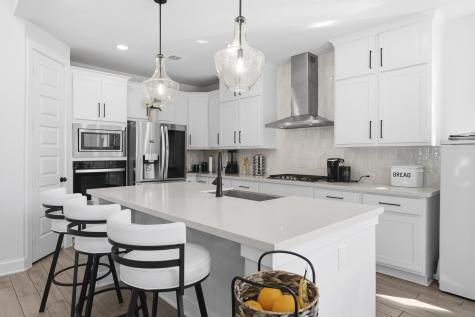 511 Carina Gaze Drive Conroe TX 77318
