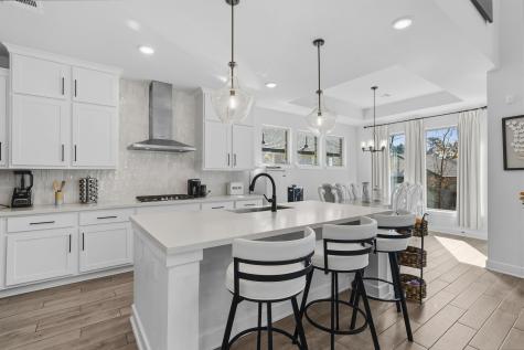 511 Carina Gaze Drive Conroe TX 77318