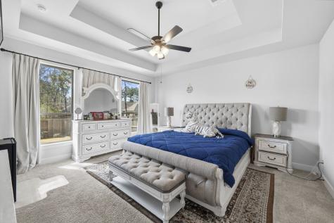 511 Carina Gaze Drive Conroe TX 77318