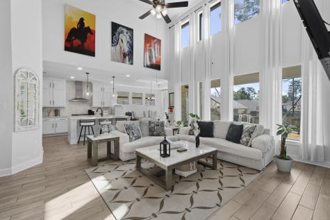 511 Carina Gaze Drive Conroe TX 77318