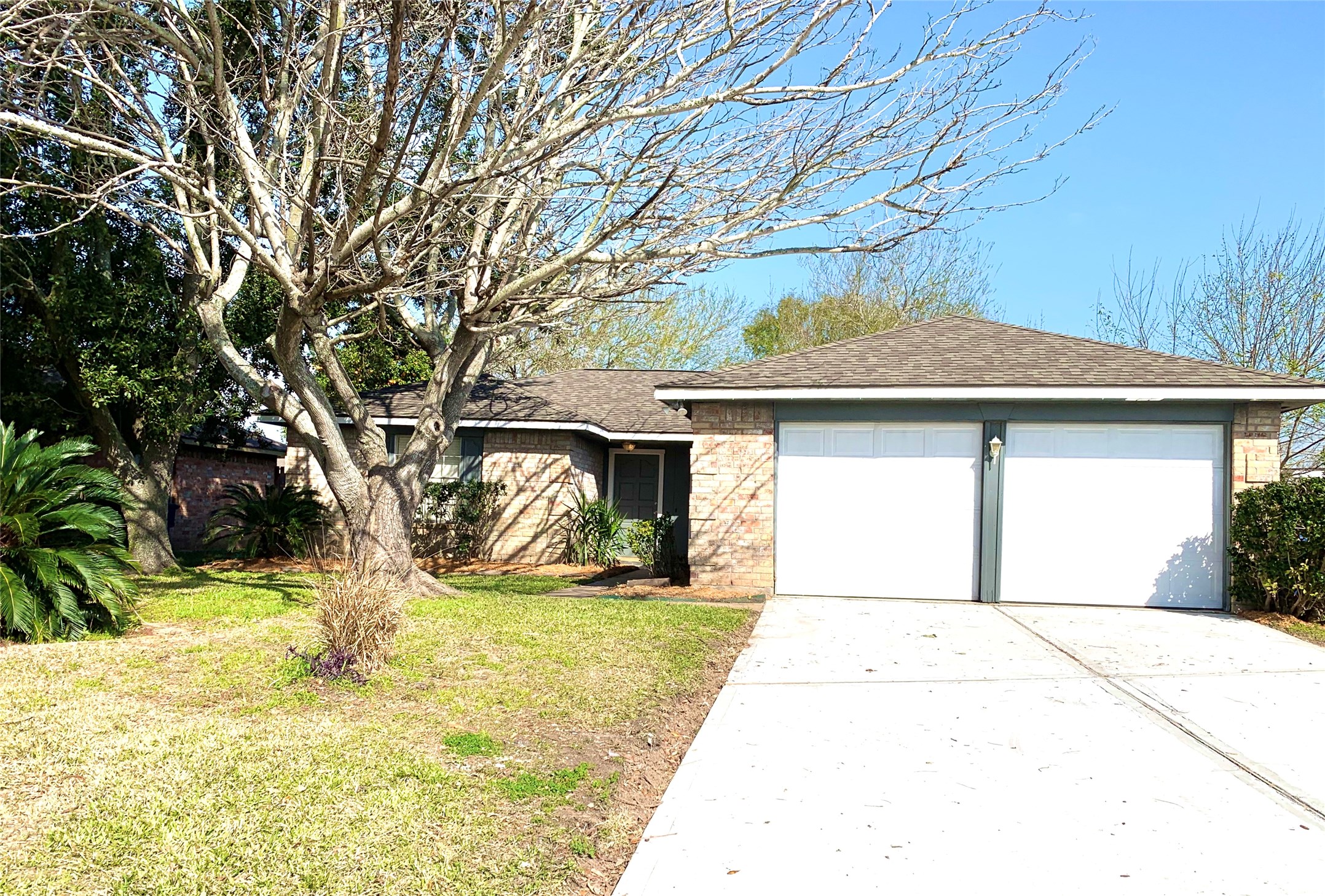 1610 Quail Place Court Missouri City TX 77489