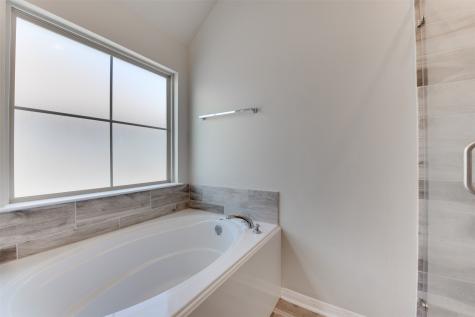138 Scenic Hills Court Montgomery TX 77356