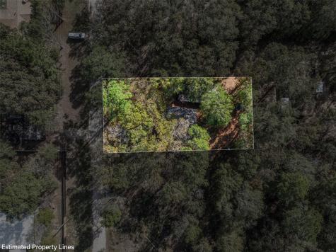 136 Warbler Lane Livingston TX 77351