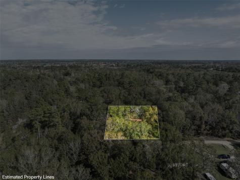136 Warbler Lane Livingston TX 77351