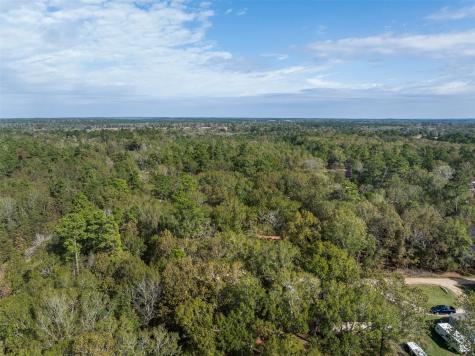 136 Warbler Lane Livingston TX 77351