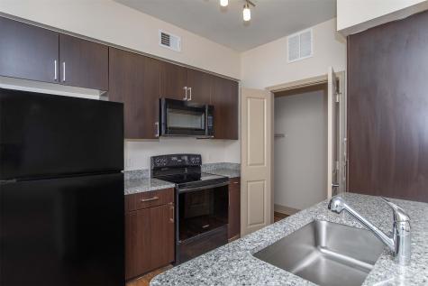 2930 Plum Creek Lane 2202 Houston TX 77087