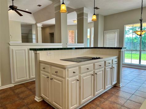 16919 Laguna Springs Drive Houston TX 77095