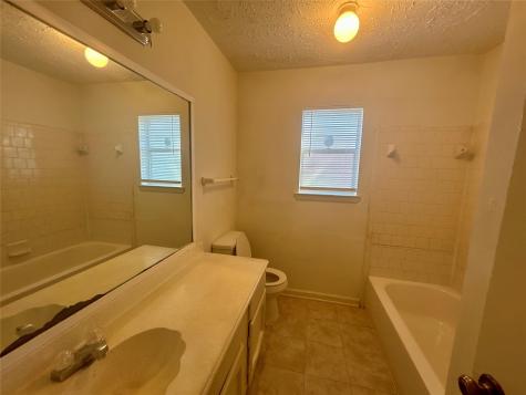 16347 Sky Blue Lane Houston TX 77095