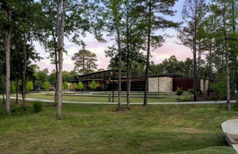 615 Starlit Sky Court Willis TX 77318