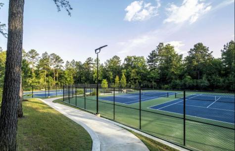 615 Starlit Sky Court Willis TX 77318