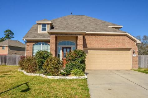 10202 Black Forest Court Conroe TX 77385