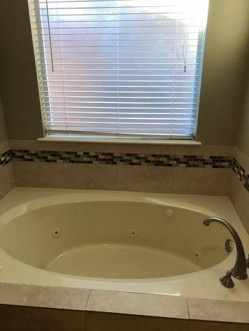 1902 Orchard Glen Court Houston TX 77062