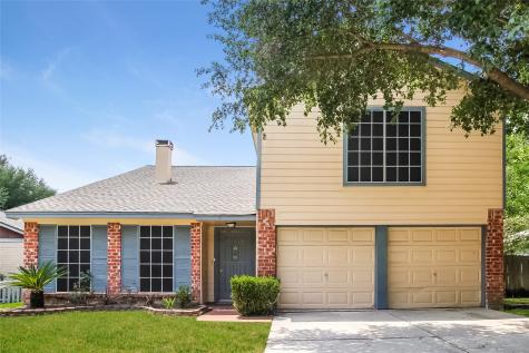 21307 Fernhollow Lane Spring TX 77388