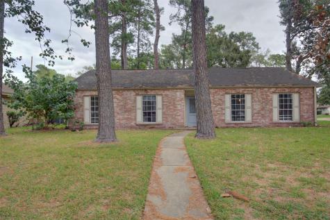 25302 Friar Lake Lane Spring TX 77373