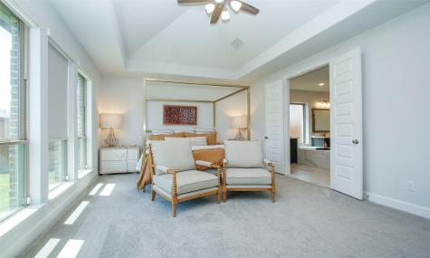 27232 Starry Oaks Drive Magnolia TX 77354