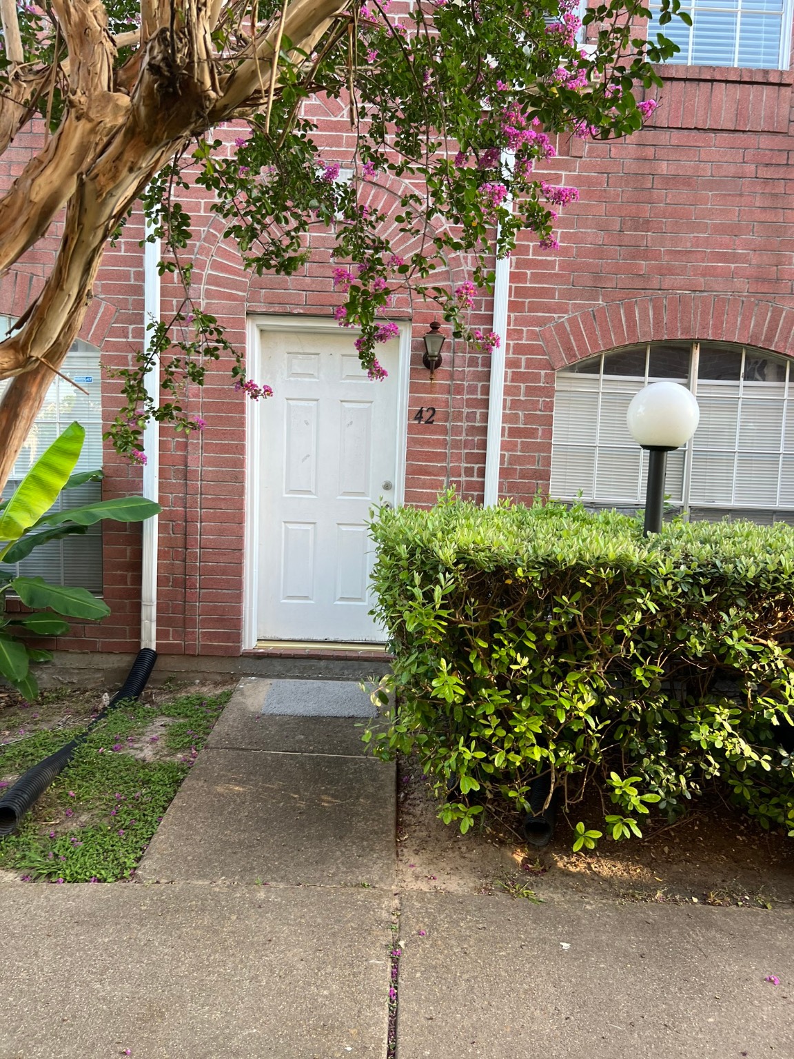 11735 Alief Clodine Road 42 Houston TX 77072