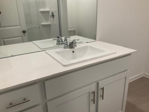 1627 Birch Wood Drive Rosenberg TX 77471