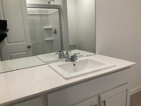 1627 Birch Wood Drive Rosenberg TX 77471