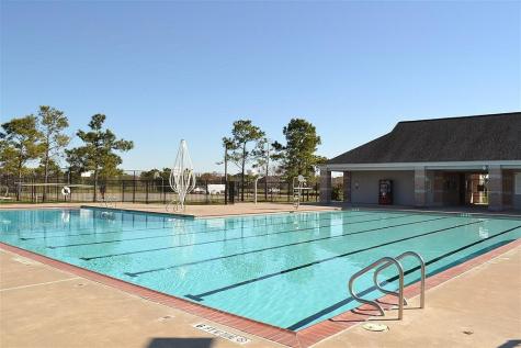 12002 Green Falls Drive Pearland TX 77584